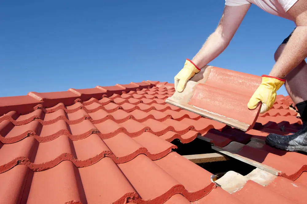 Roofing Features